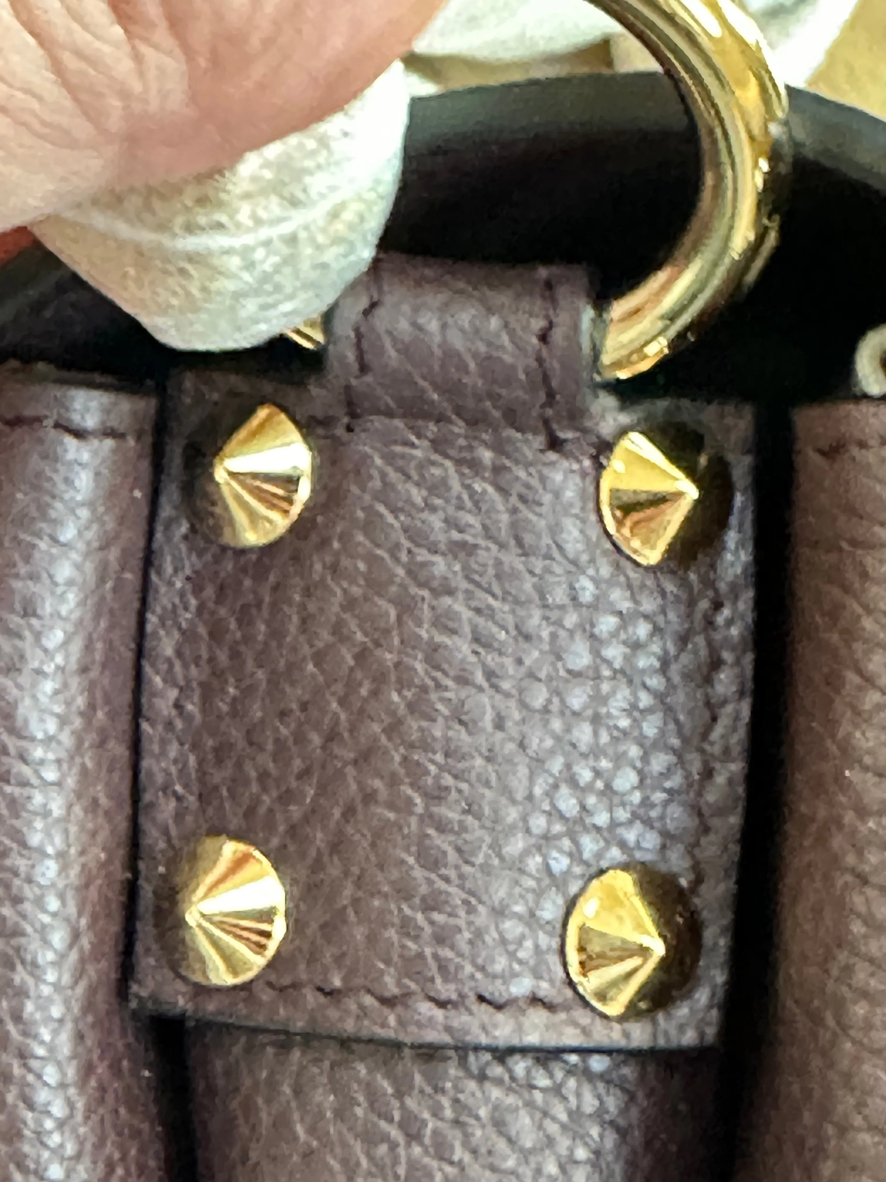 Alexander McQueen Twin Skull Chain Crossbody in Burgundy