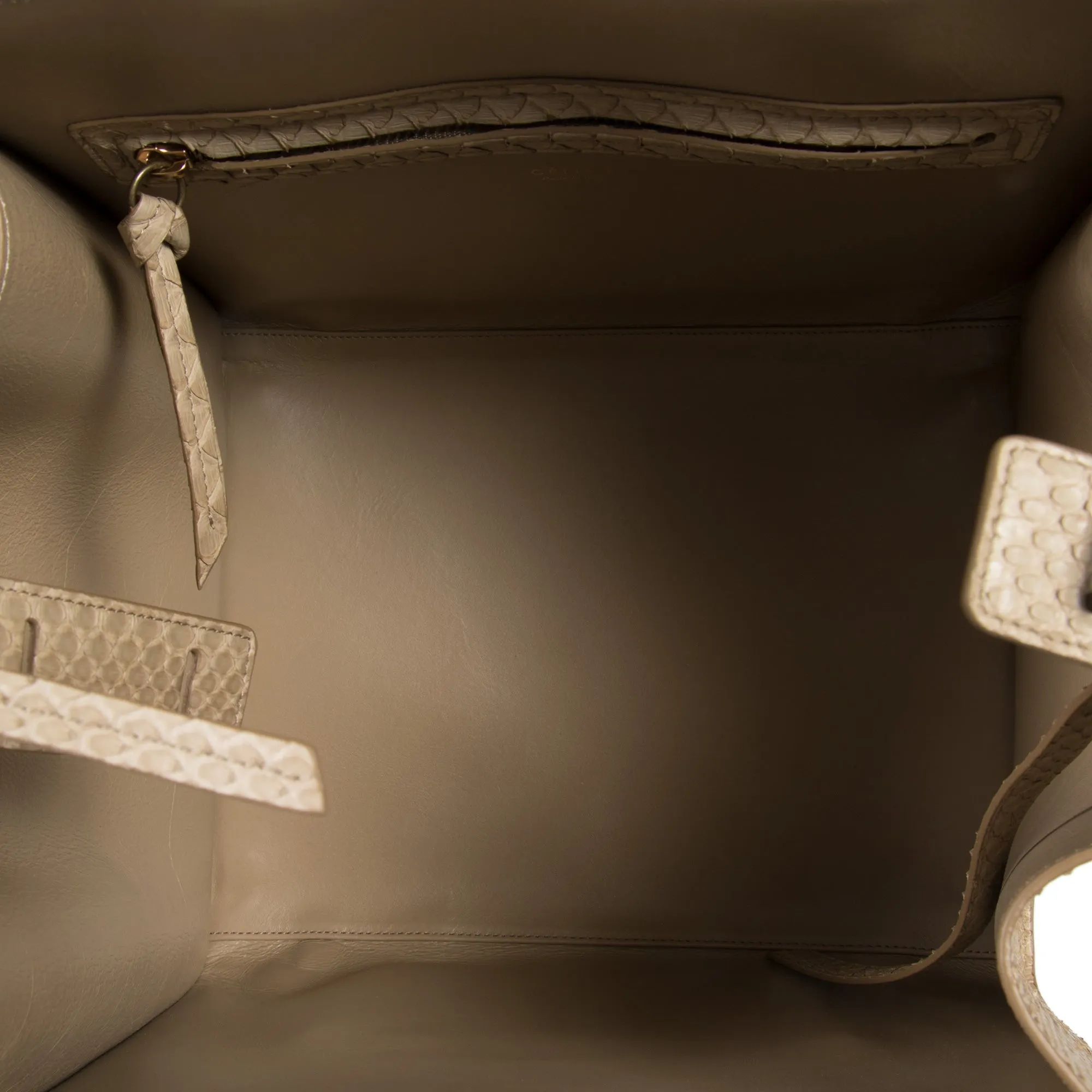 Celine Medium Luggage Phantom Bag In Taupe Python