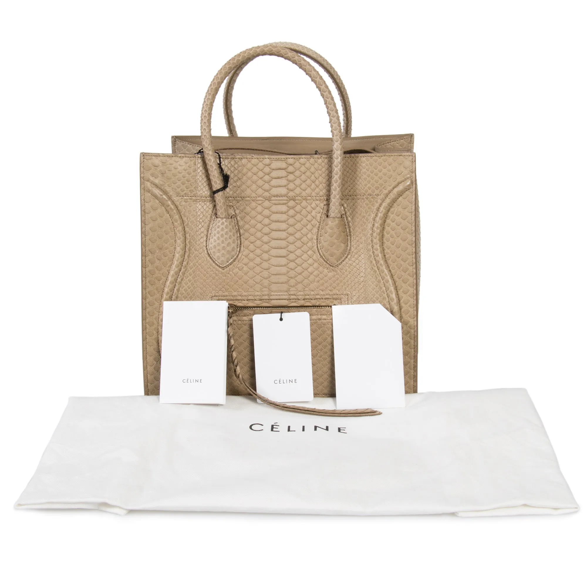 Celine Medium Luggage Phantom Bag In Taupe Python