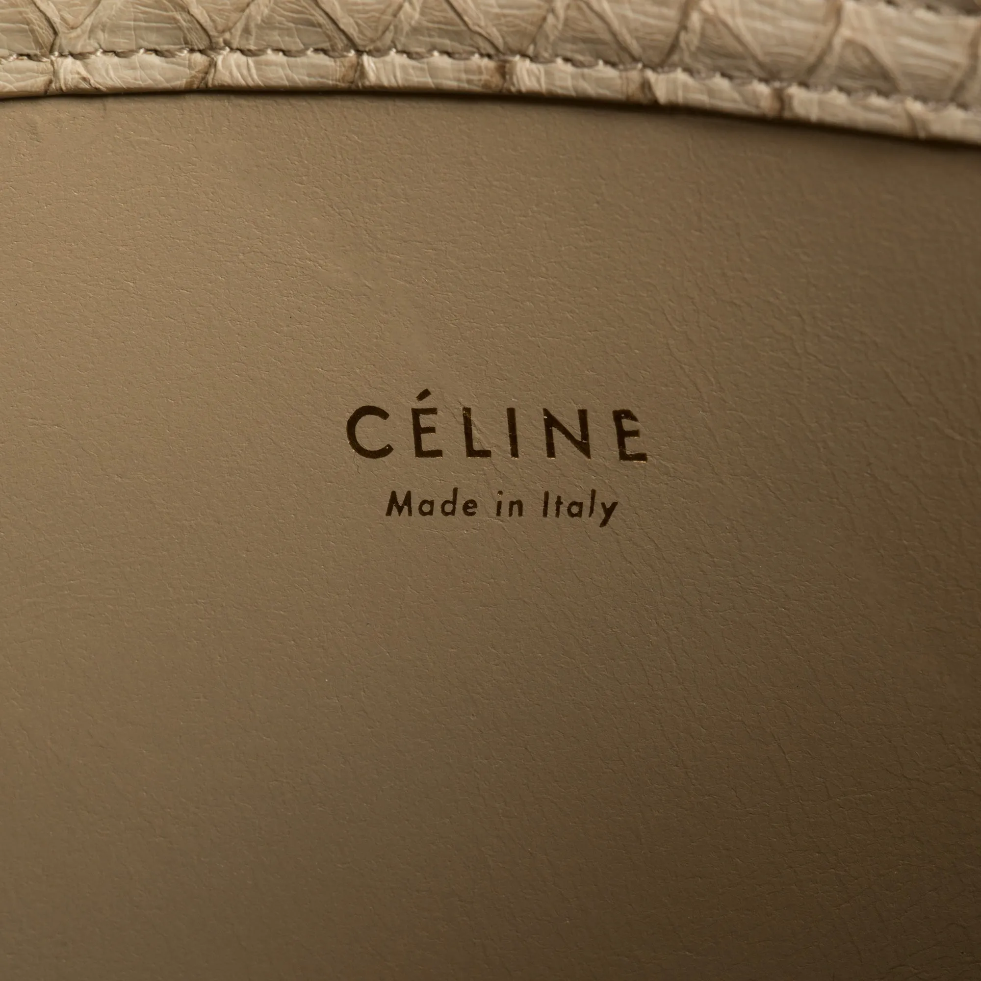 Celine Medium Luggage Phantom Bag In Taupe Python