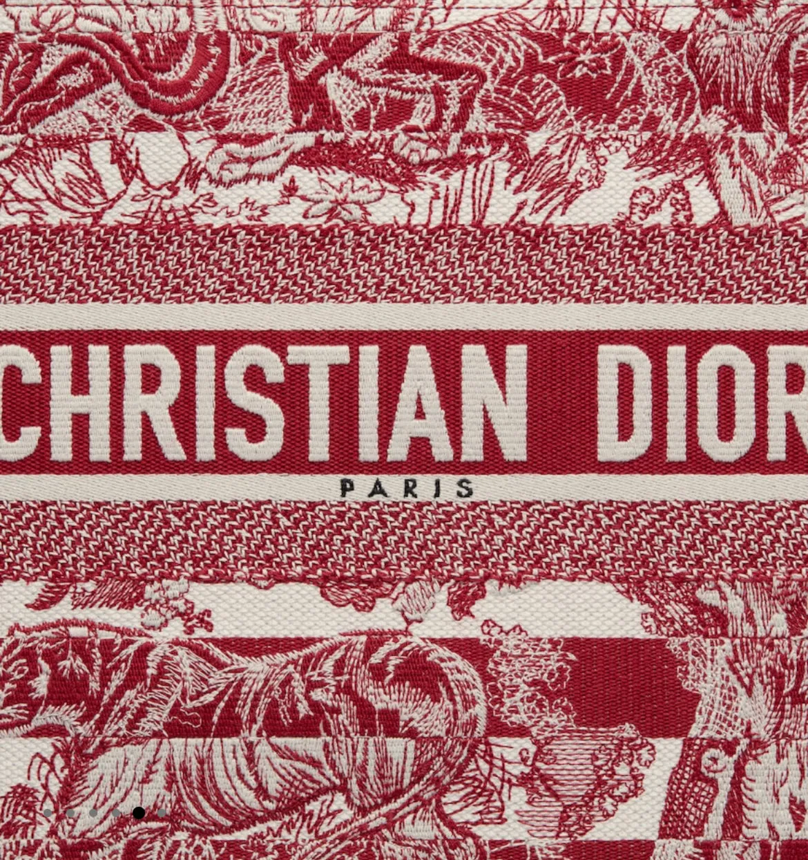 Dior Book Tote