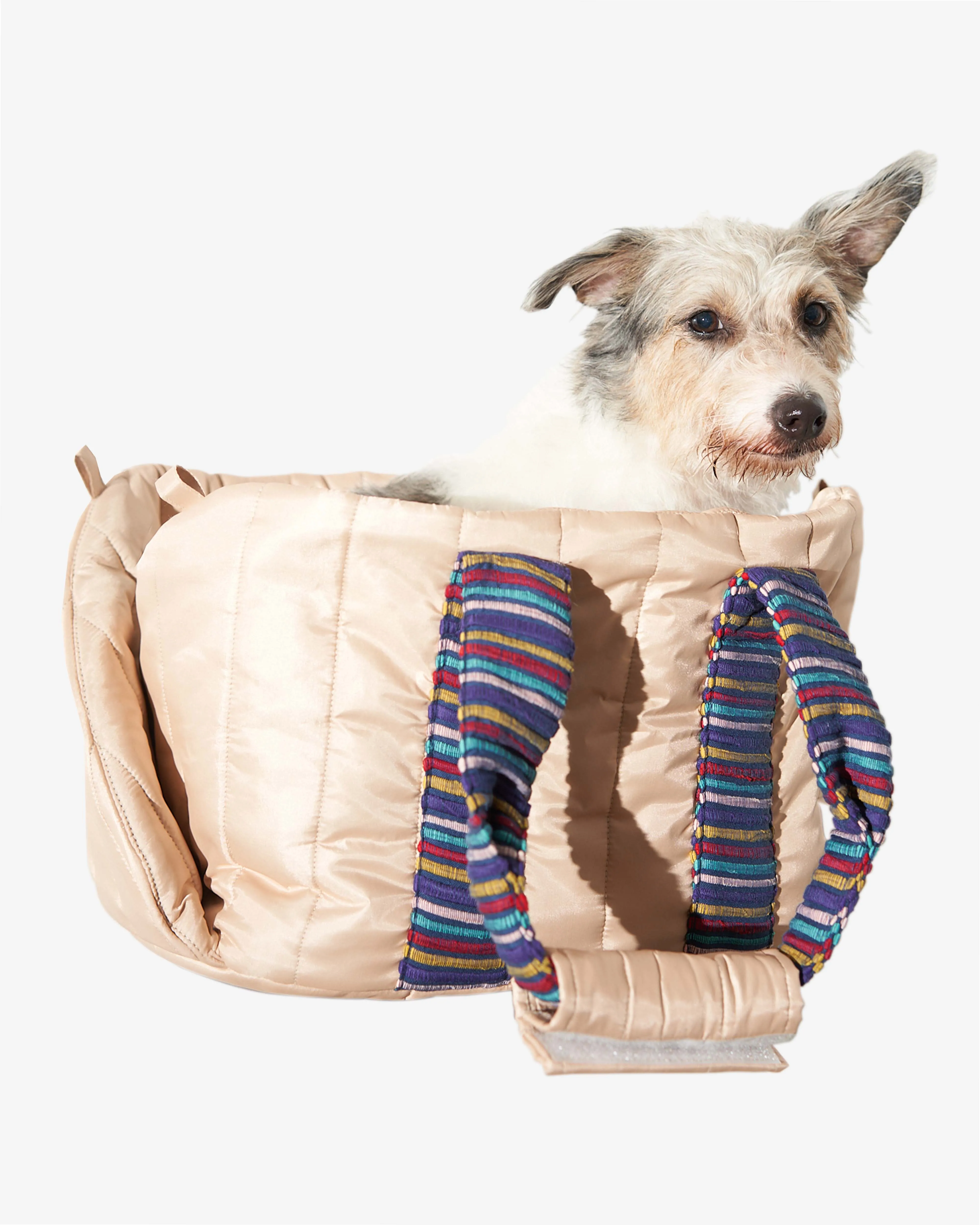 Fetch x Bayo: The Everyday Everywhere Carry