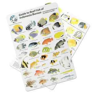 Fish ID Slate for Indonesia and Borneo