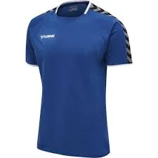 Hummel Short Sleeved Training Tee - Royal