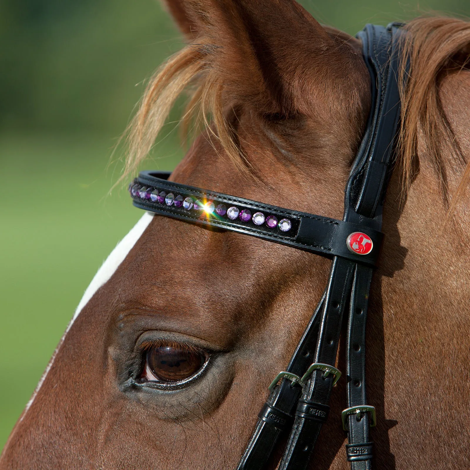 Kieffer Magic Tack Single Row Stone Snaffle Bridle
