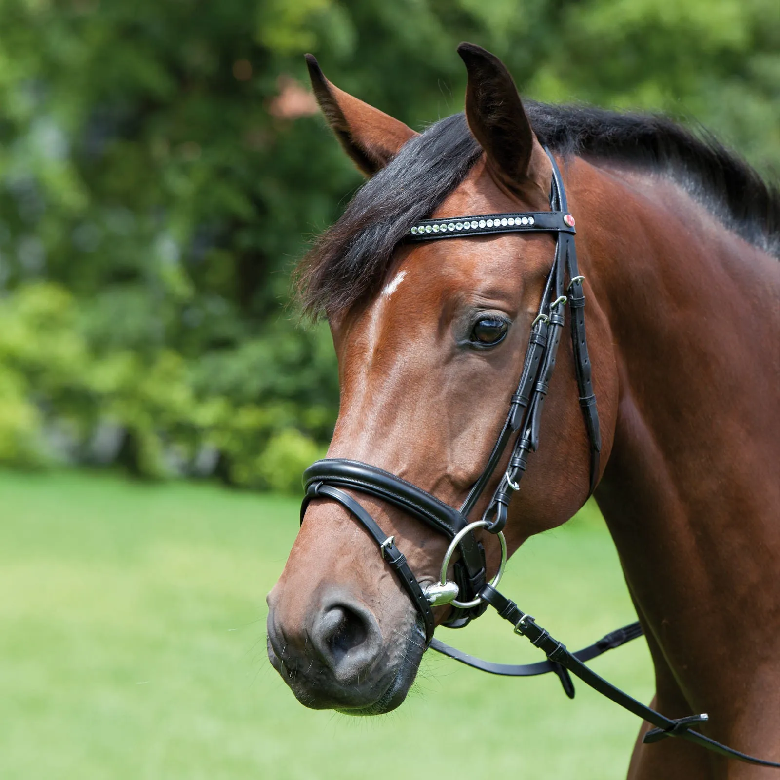 Kieffer Magic Tack Single Row Stone Snaffle Bridle