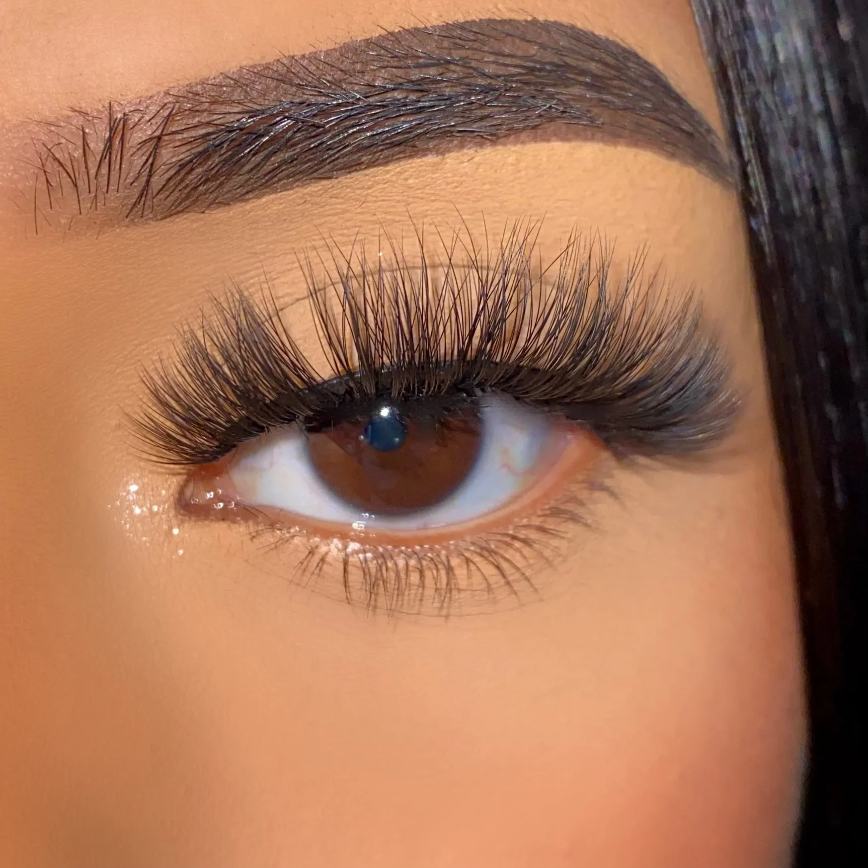 LashyBox Gemini Magnetic Lashes