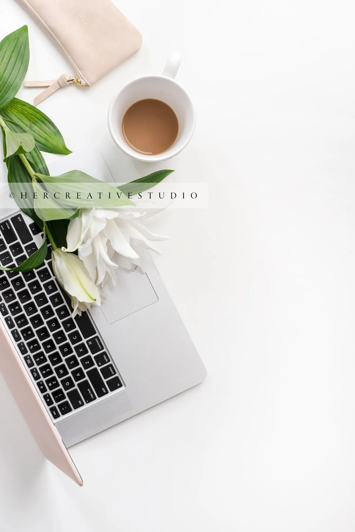 Lilly, Laptop & Coffee