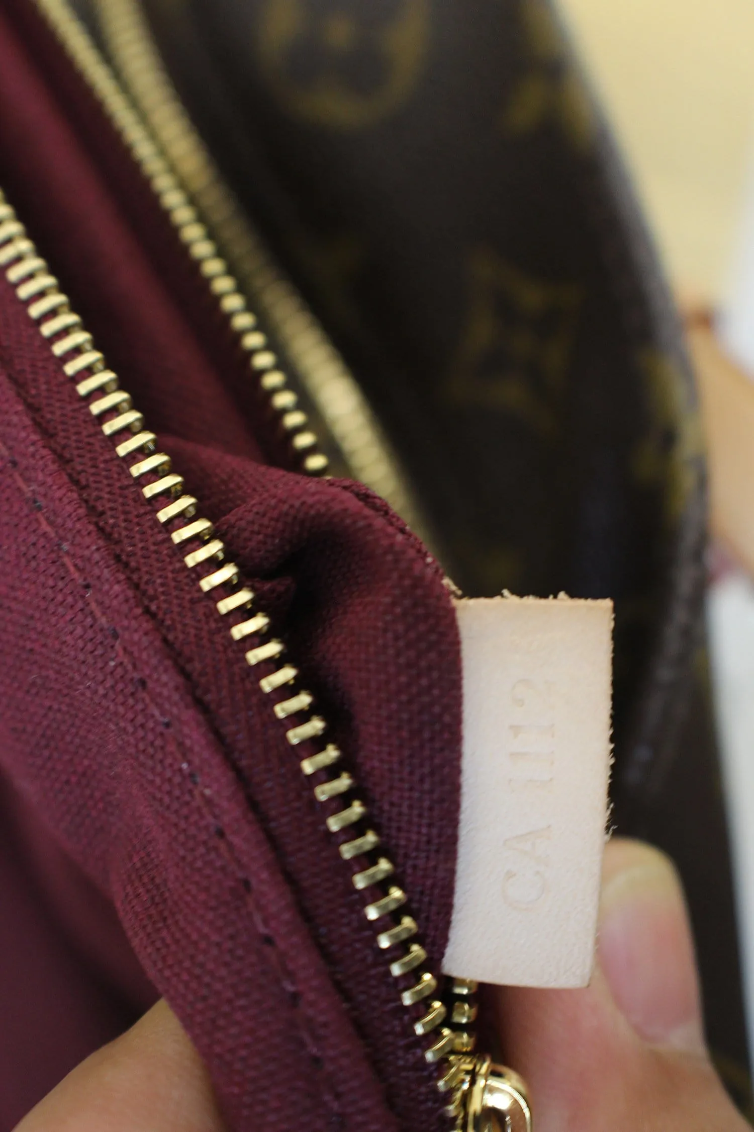 LOUIS VUITTON Monogram Raspail MM Shoulder Bag