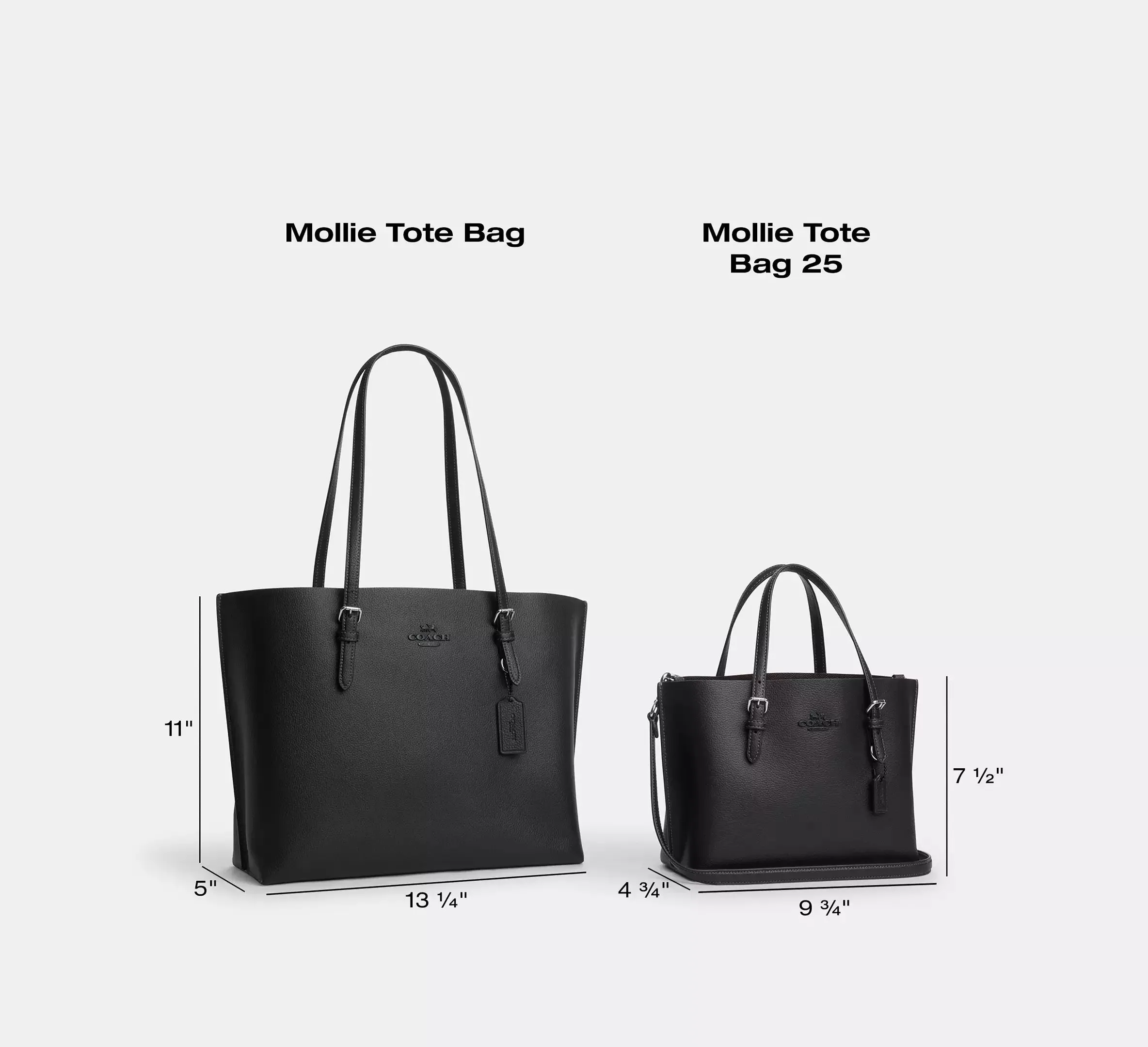 Mollie Tote Bag 25 In Signature Canvas