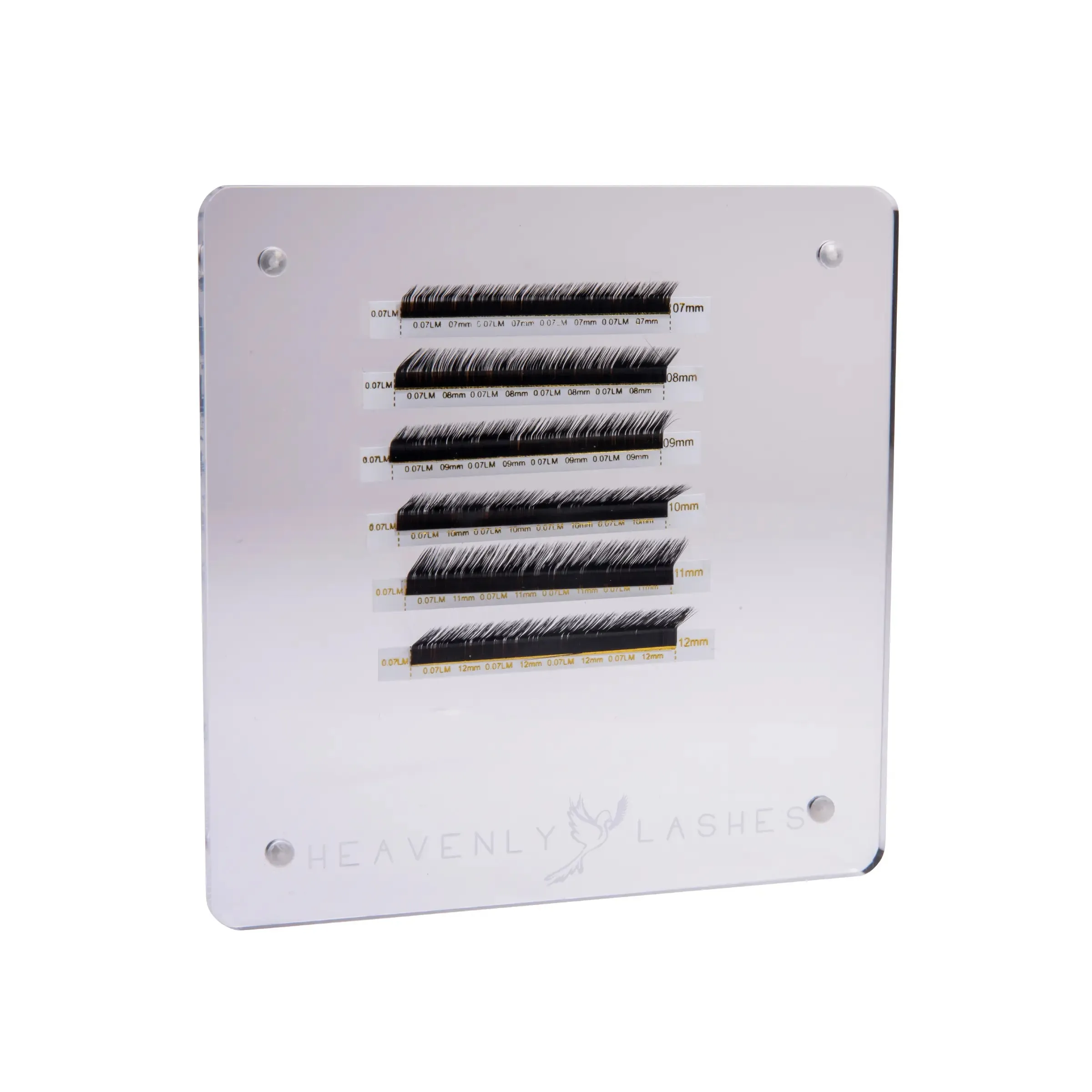 PATENTED Paraclete Palettes “3 pack Magnetic eyelash extension palettes