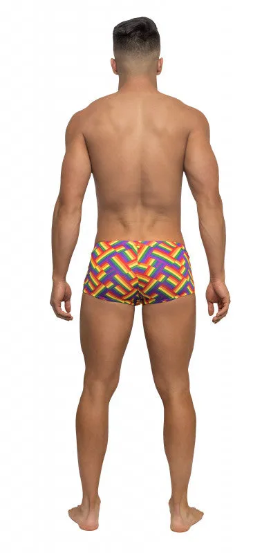 Pride Fest - Mini Short - Large - Print