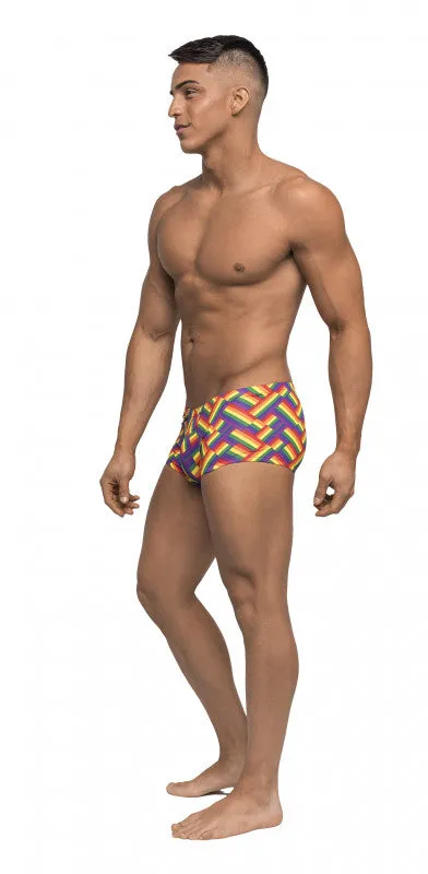 Pride Fest - Mini Short - Large - Print