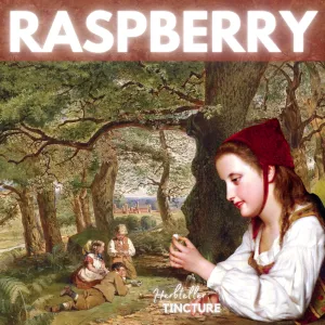 Raspberry Herbal Tincture
