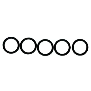 Replacement O-Ring for Fuel Check Valve