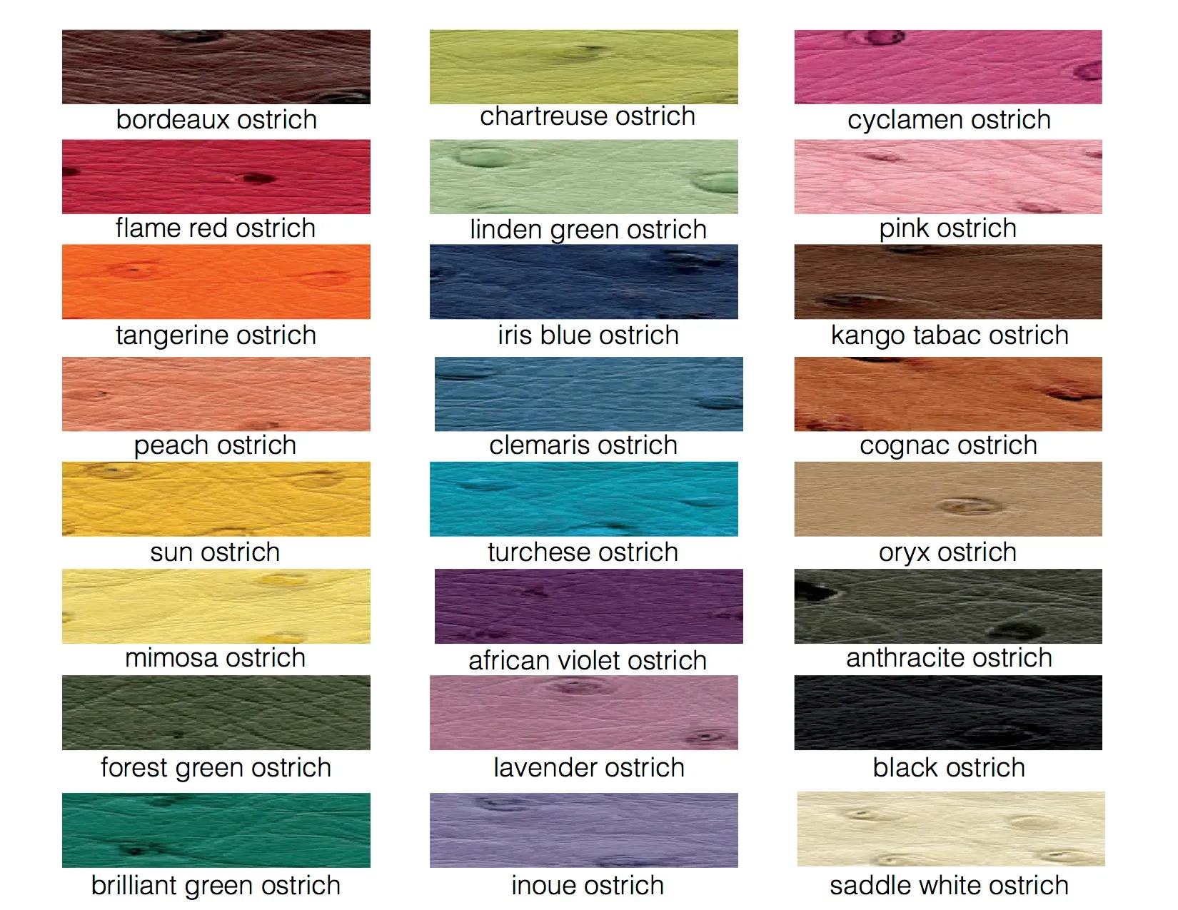 RUBY - ASSORTED COLORS