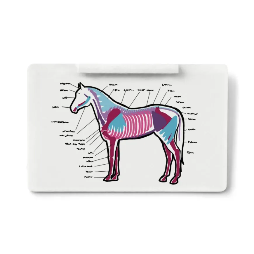 Schleich Horse Club: Mobile Vet with Hanoverian Foal