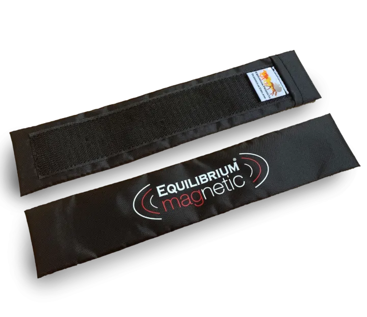 Spare Vitaflex Magnets Long