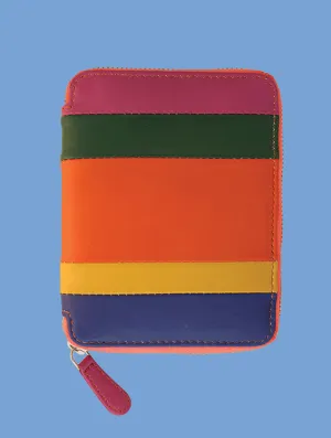 Striped Leather Passport Wallet