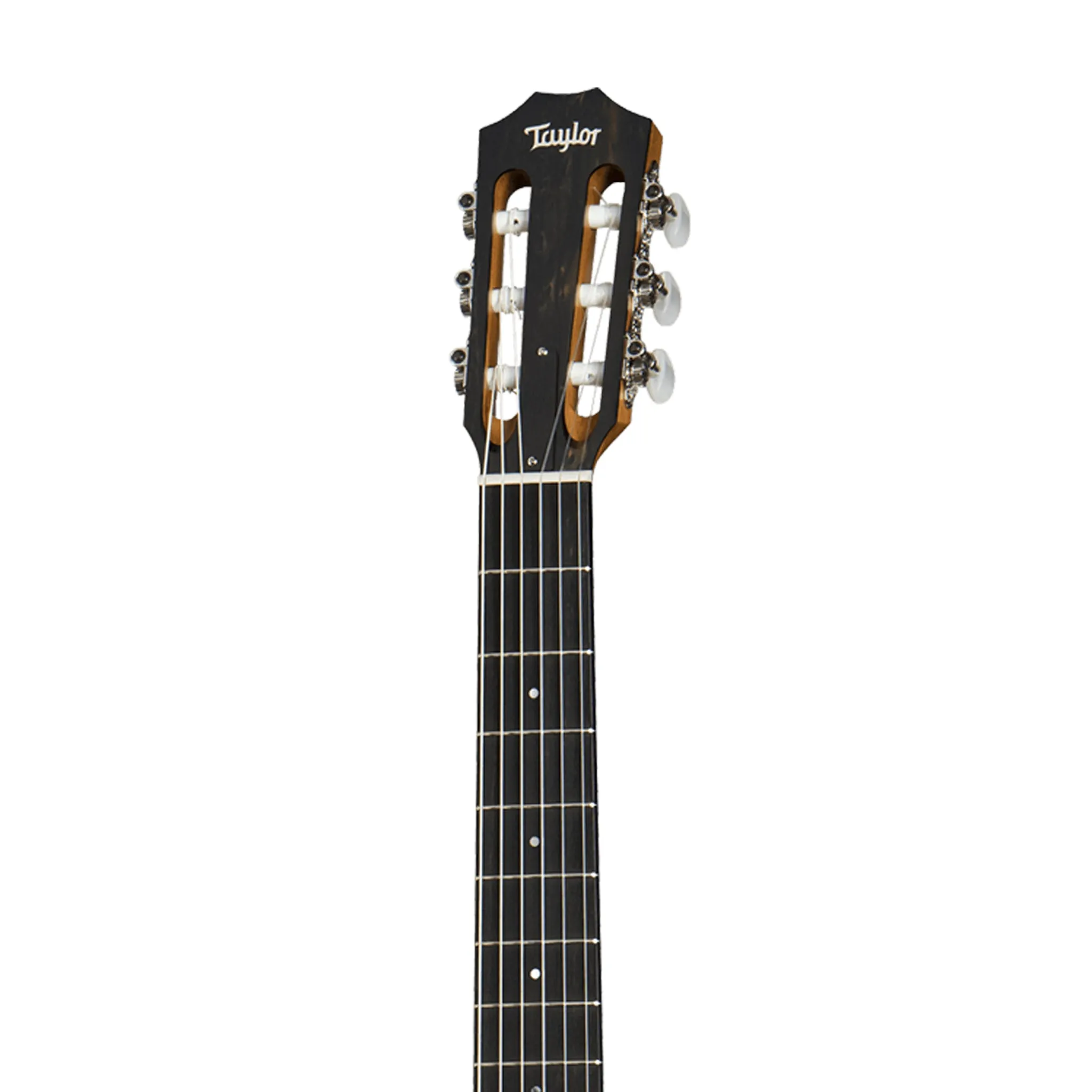 Taylor 114ce-N Grand Auditorium Nylon String Acoustic Guitar w/Bag
