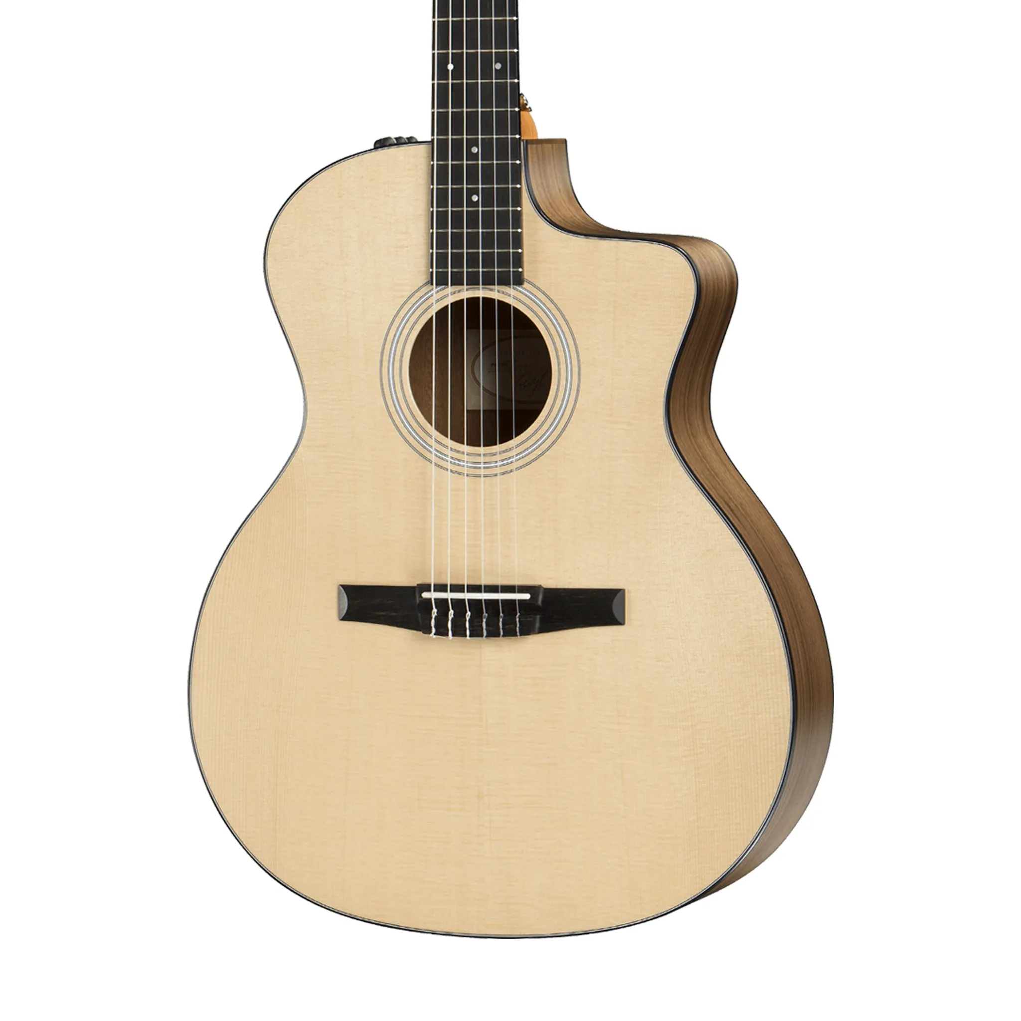 Taylor 114ce-N Grand Auditorium Nylon String Acoustic Guitar w/Bag
