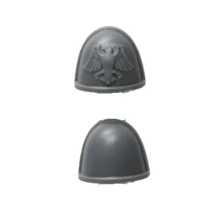 Warhammer 40k Games Workshop Space Marine Raven Guard Kayvaan Shrike Shoulder Pads